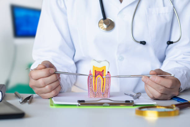 Best Emergency Cosmetic Dentistry (e.g., broken veneers) in Dell Rapids, SD